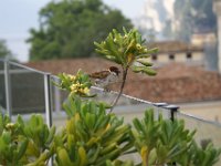 2012-06-10 09-06-34 - Motorradtour2012 098